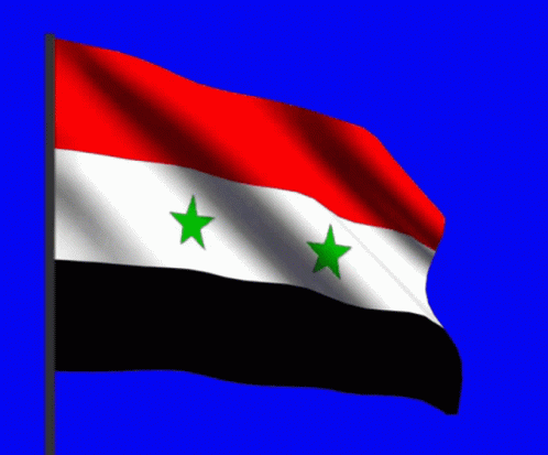 سورياعلم Syria GIF - سورياعلم Syria Flag GIFs