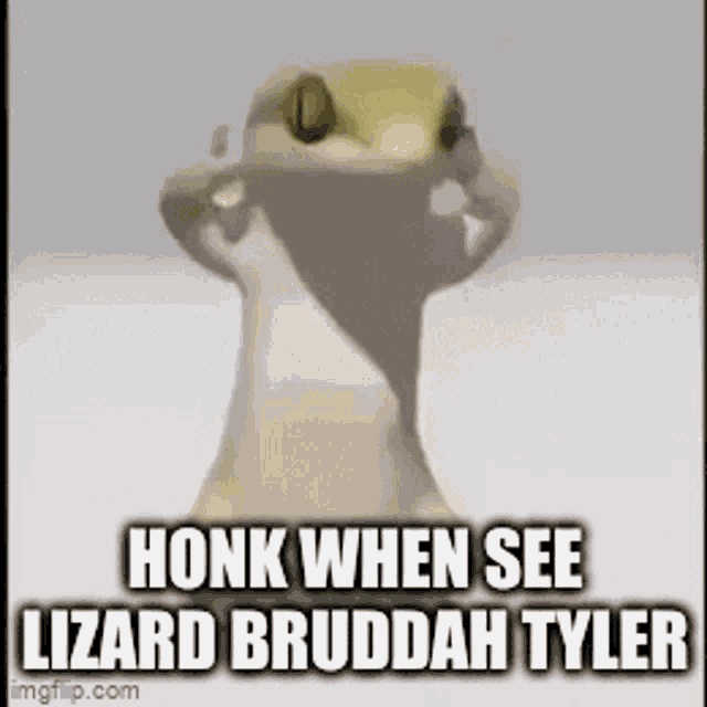 Honk Lizardbruddah GIF - Honk Lizardbruddah Tyler GIFs