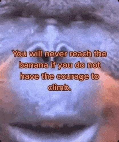 a monkey is smiling and says `` you will never reach the banana if you do not have the courage to climb ''