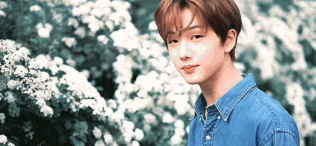 a young man wearing a blue denim shirt is standing in front of a bush with white flowers .