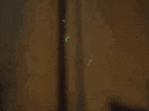 a person is peeking through a door at night with a green light coming out of it .