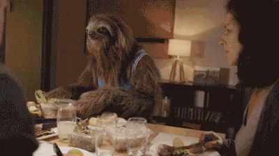 Sloth Dinner GIF - Sloth Dinner Pass GIFs