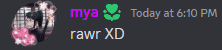a blurred image of a person with the words mya today at 6:10 pm and rawr xd
