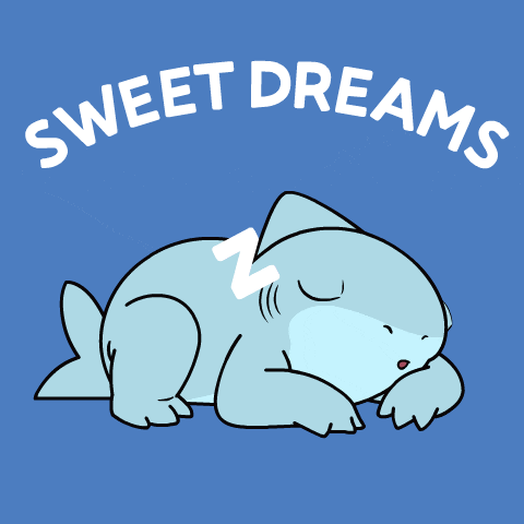 a shark sleeping with the words sweet dreams written above it