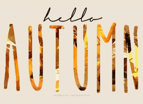Hello Autumn Falling Leaves GIF