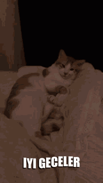 a cat is sleeping on a bed with the words iyi geceler written above it