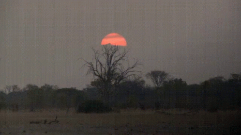 Sunset Africa GIF - Sunset Africa GIFs