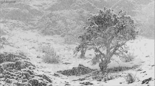 a black and white photo of a snowy landscape