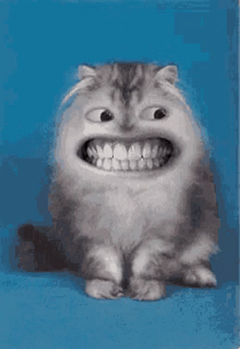 Wth Cute Cat GIF - Wth Cute Cat Smiling GIFs