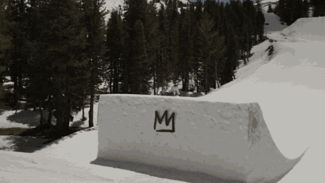 a block of snow with a crown on it