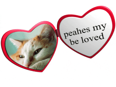 a heart shaped picture frame with a picture of a cat and the words peaches my be loved