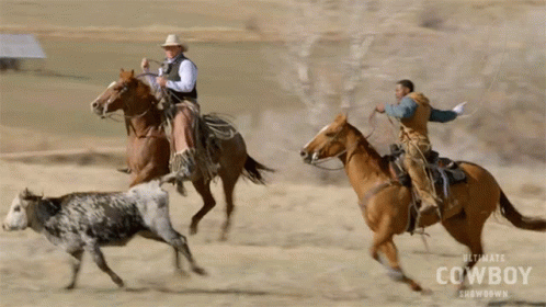 Swinging The Lasso Jamon Turner GIF - Swinging The Lasso Jamon Turner Ultimate Cowboy Showdown GIFs