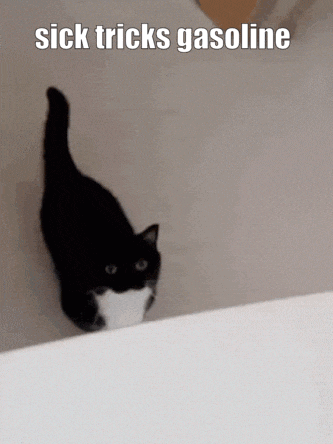 a black and white cat is walking on a bed with the words sick tricks gasoline below it