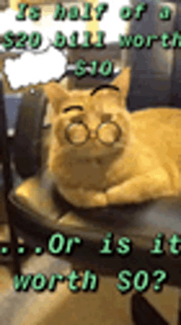 a cat wearing glasses and a speech bubble that says is half of a $ 20 bill worth $ 10