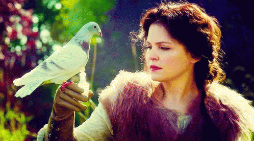 Ouat Once Upon A Time GIF - Ouat Once Upon A Time Ginnifer Goodwin GIFs