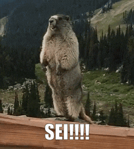 a ground squirrel standing on its hind legs with the word sei written below it
