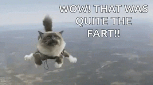 Cat Flying GIF - Cat Flying Wow That Was Quite The Fart GIFs