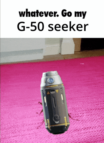 a picture of a g-50 seeker on a pink carpet