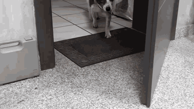 a black and white photo of a dog standing in a doorway next to a door mat that says ' bravo ' on it
