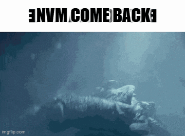 a picture of a shark with the words " envm come back "