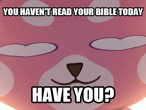 a pink teddy bear with the words " you haven 't read your bible today have you " on it