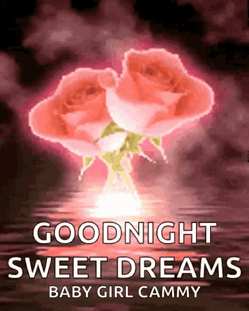 a goodnight sweet dreams baby girl cammy card with two pink roses