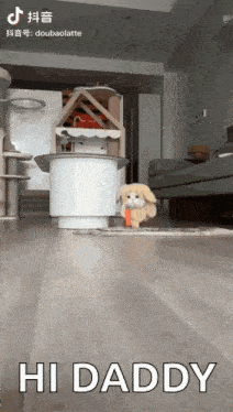 a video of a dog that says hi daddy in the corner