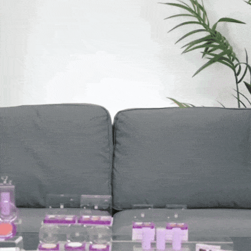 a gray couch with a plant in the background and a table with purple boxes on it