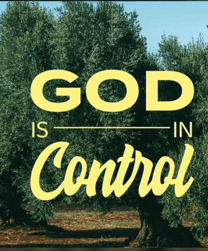 a poster that says god is in control with a picture of olive trees