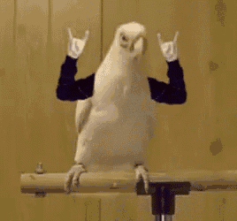 a white bird is sitting on a perch with its arms up and making a heavy metal sign .