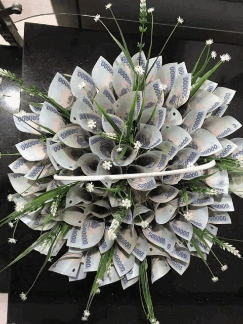Moneyflower Meme