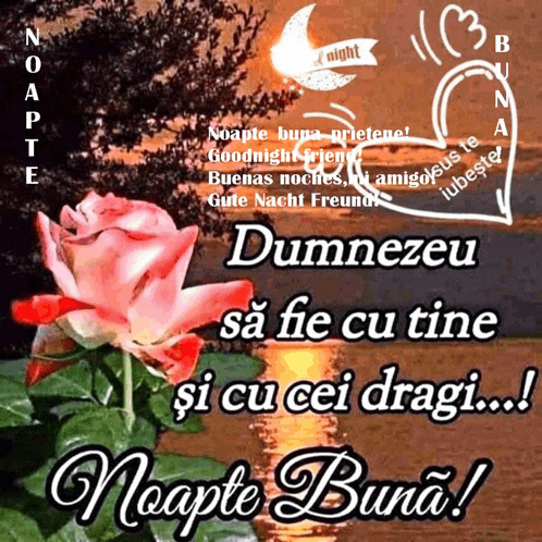 a greeting card with a pink rose and the words " noapte buna "