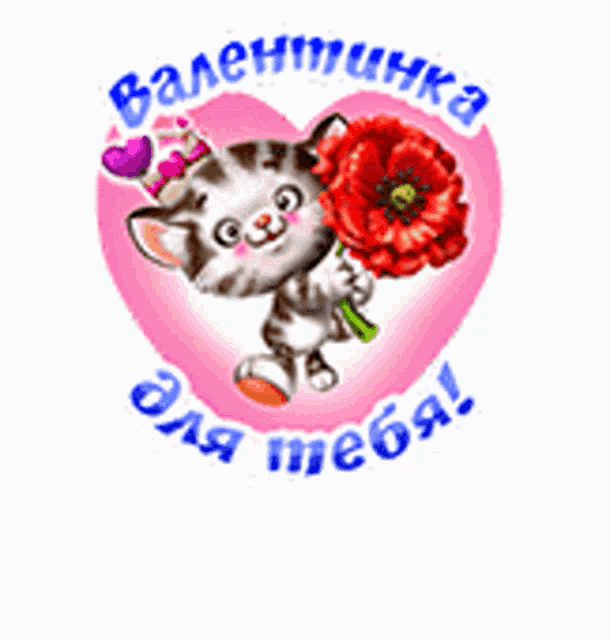 a kitten is holding a red flower in front of a pink heart and the words " valentine "