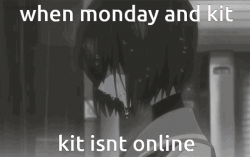 Monday No Kit GIF - Monday No Kit Kit GIFs
