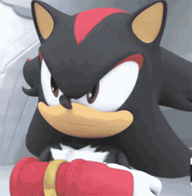 shadow the hedgehog from the video game sonic the hedgehog is wearing a red glove