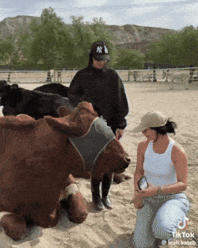a woman wearing a ny hat kneeling down next to a cow
