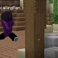a man in a purple jacket is walking in a video game with the name recallingman written above him .