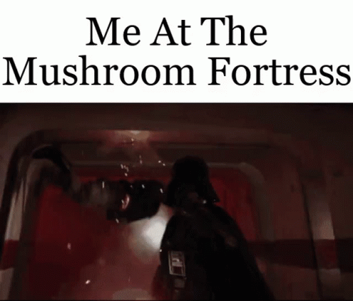 Me At The Mushroom Empire Slays GIF - Me At The Mushroom Empire Slays Was GIFs