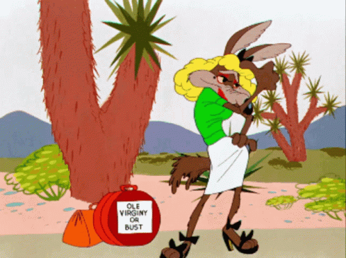 Wile E Coyote Hitchhiker GIF - Wile E Coyote Hitchhiker Ole Virginy Or Bust GIFs