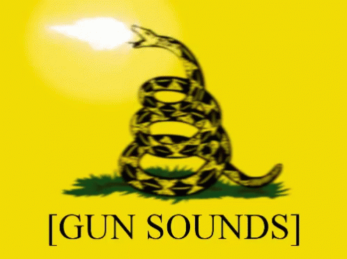 Libertarian Gun GIF - Libertarian Gun Guns GIFs