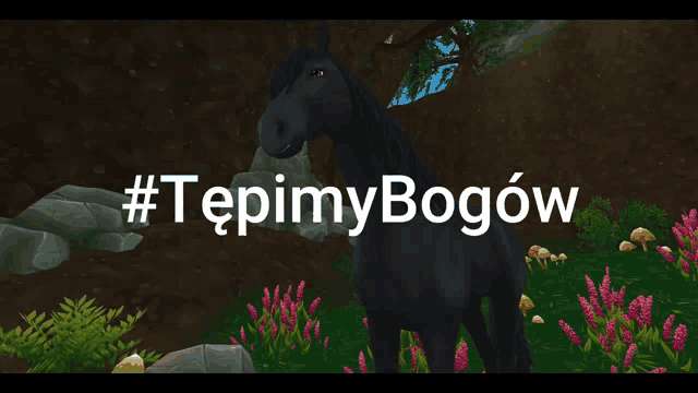 a black horse is standing in a field with the words #tepimybogow written above it