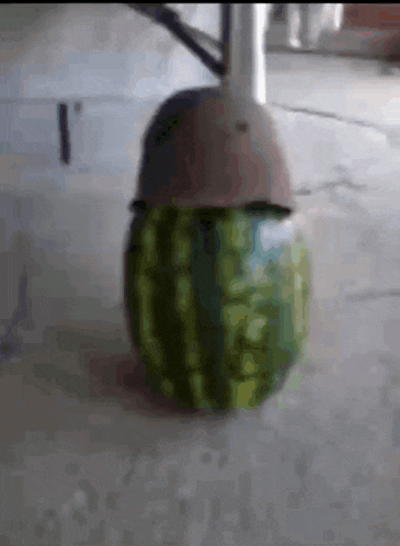 a watermelon with a helmet on top of it is on the ground .