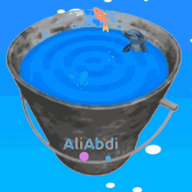 a bucket with a dolphin and a swan in it and the word aliabdi on it