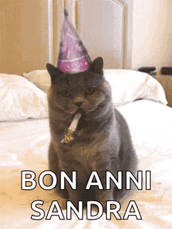 a cat wearing a party hat is sitting on a bed with a cigarette in its mouth .
