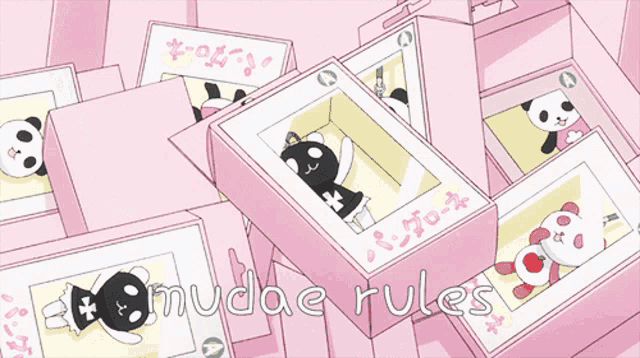 a bunch of pink boxes with pandas on them and the words mudae rules