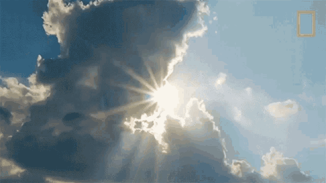Sunny Day When Sharks Attack GIF - Sunny Day When Sharks Attack Bright Morning GIFs