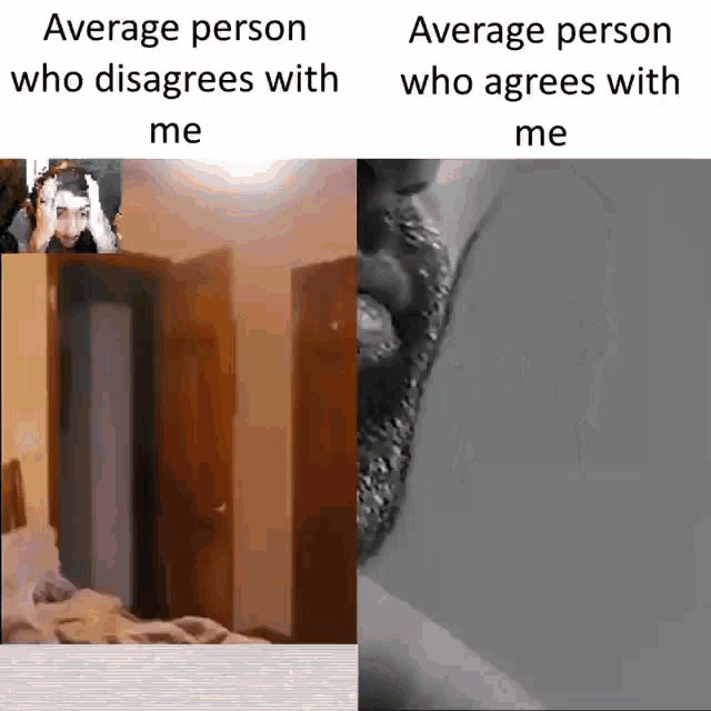 Meme Average GIF - Meme Average Agree GIFs