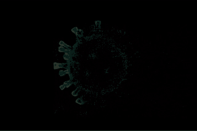a computer generated image of a red virus with a black background