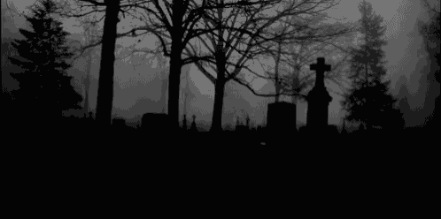 a black and white photo of a cemetery with trees and graves in the fog