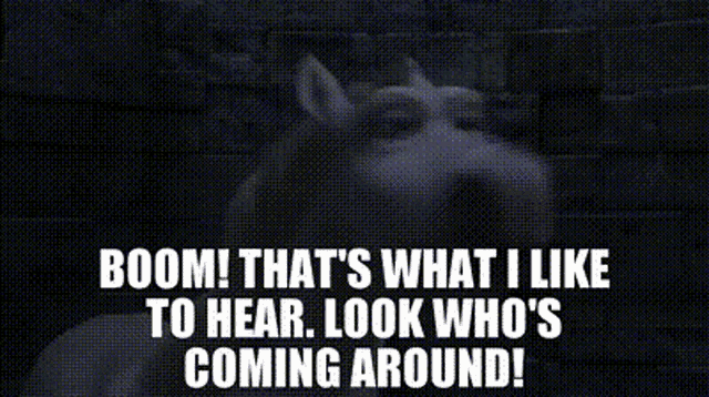 Shrek Donkey GIF - Shrek Donkey Doom Thats What I Like To Hear GIFs